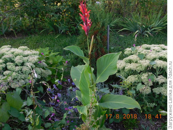 Очень далеко от моих желаний...