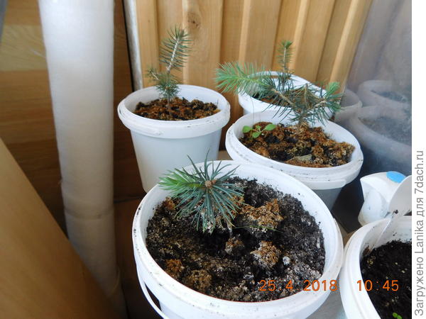 Наконец-то рассадили.