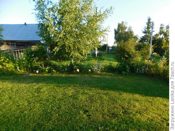 У нас бОльшая часть земли - лужок.