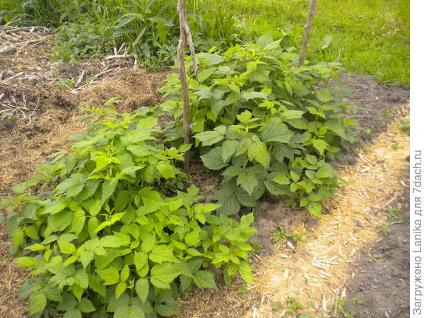В левом верхнем углу - край &quot;помойки&quot;...