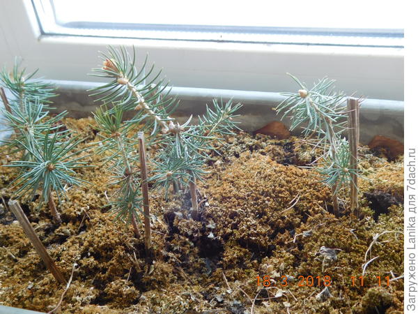 Года 4 мы возили их туда-сюда...