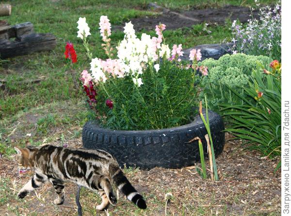 Даже не крашеные - руки не доходят.