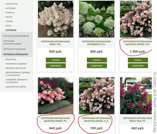 Мне не понятно, в чем конкретно состоит разница...