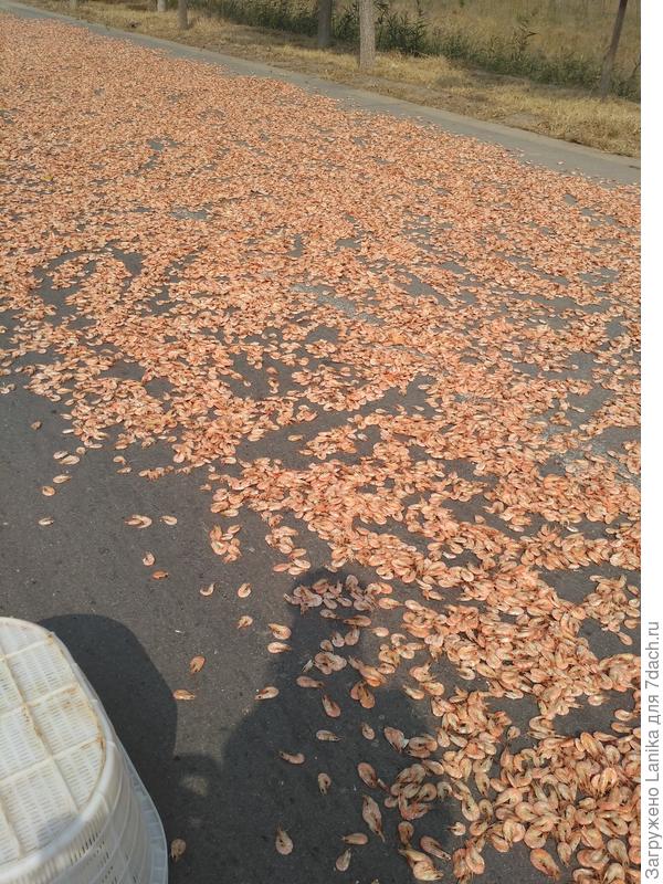 А это креветки. Очень полезный продукт...