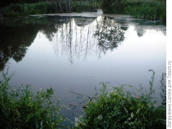 А это пруд, он совсем небольшой...