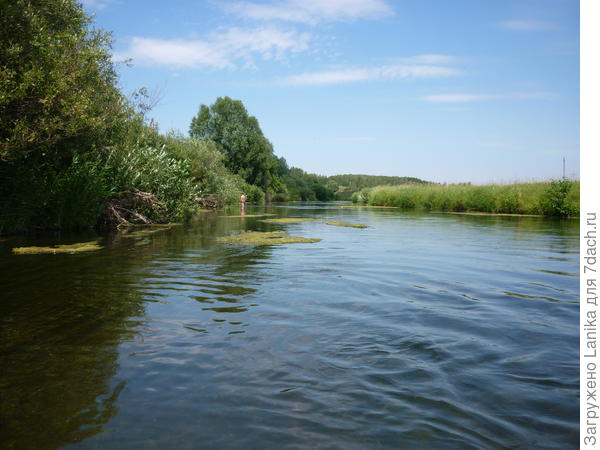 Это наша речка, прямо за домом.