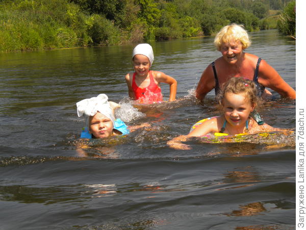 Это давнишняя фотография, 2010 года. Моя сестра с моими внучками. Сижу, просматриваю свои фото - такое блаженство...