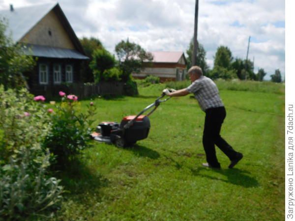 Нерезкая фотография...