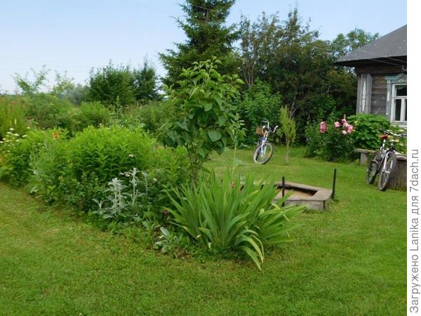 Везде лужок, нам всем нравится.