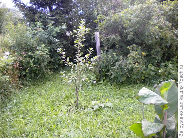 Это фото от 29 сентября 2015 г.