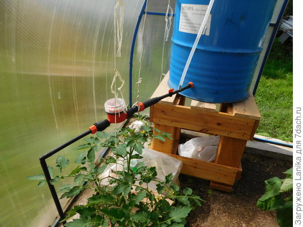 Бочка 200л, поднята над уровнем земли на 80 см, вода идет самотеком, давления хватает на теплицу 3 х 6 м.