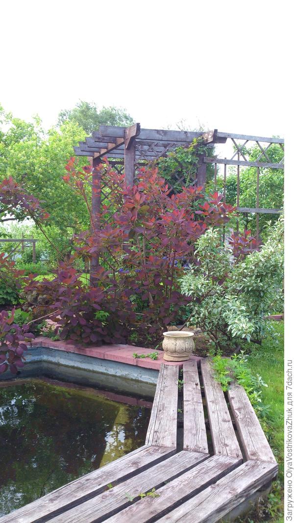 Мне тоже нравится с вазочкой...