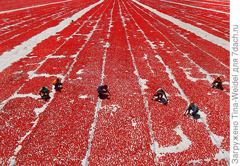 фото из интернета))