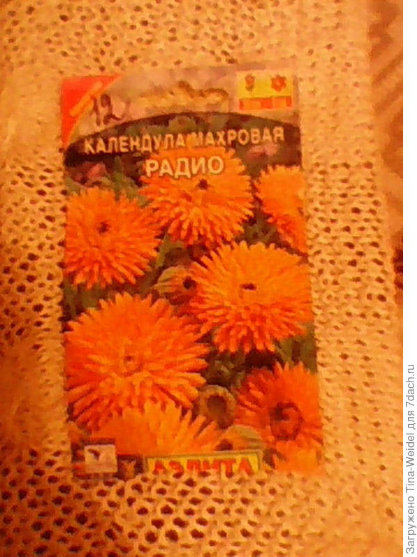 Тройняшка к вашим близнецам)0