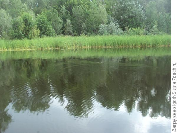Хорошее место и спешить некуда...