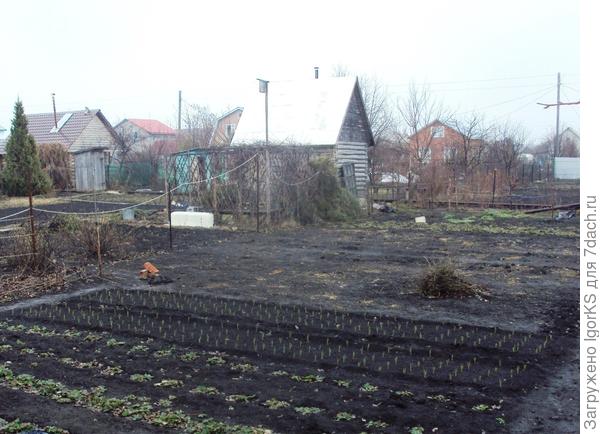 Сад в ожидании