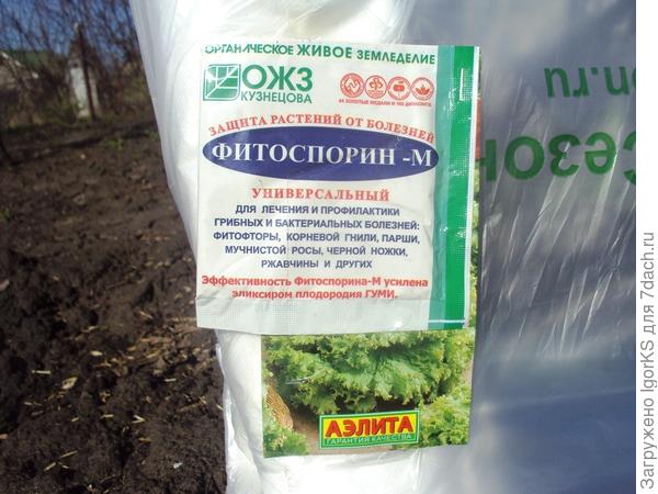 Подарок