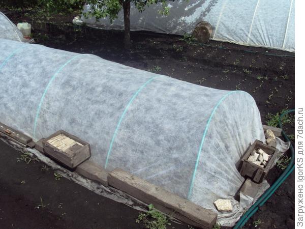 Всё ради спокойствия