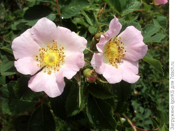 Всего самого сбывающегося!