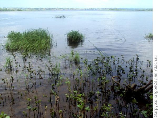 Вода прибыла.Еще один вид с берега