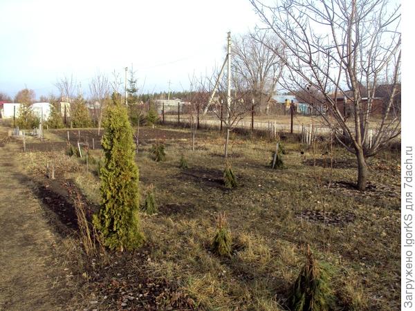 Вот такое начало зимы в этом году