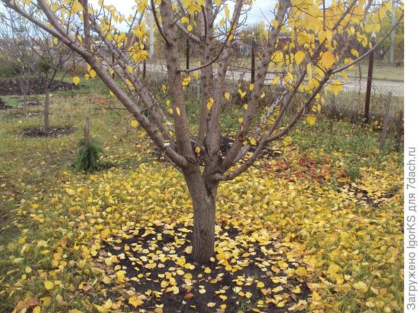 Чем раньше сформируете, тем лучше.