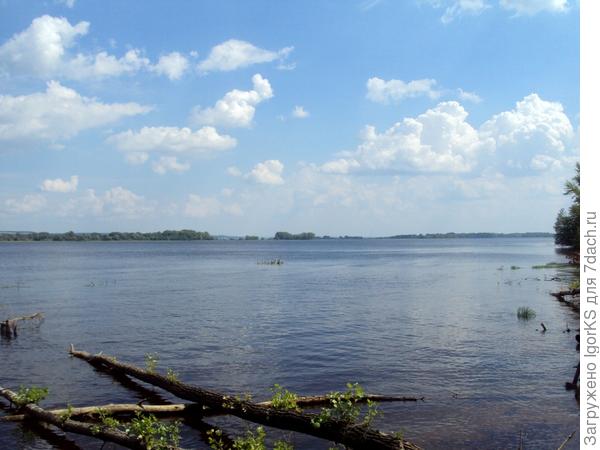 А скоро отпуск...