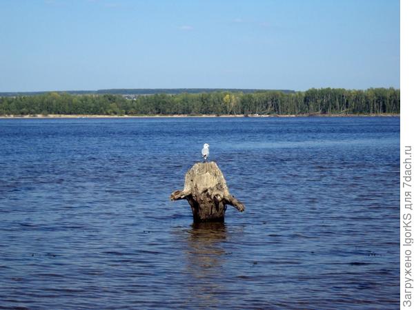 В сентябре