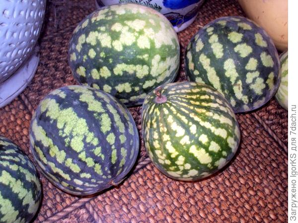 Часть урожая