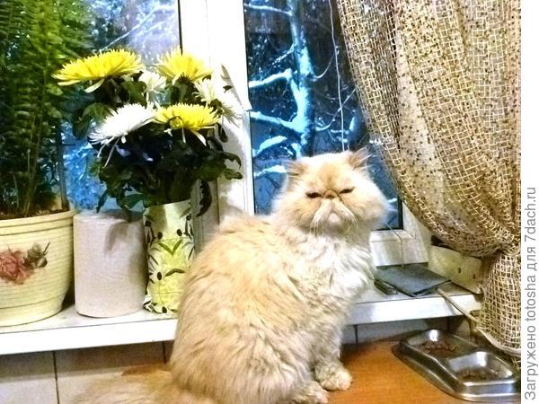 Опять фотографируют!