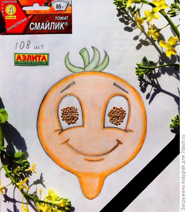 Констатация факта - мне досталась упаковка с нежизнеспособными семенами. Видимо причина, по которой семена были присохшие к упаковке и друг к другу - оказалась для них фатальна.