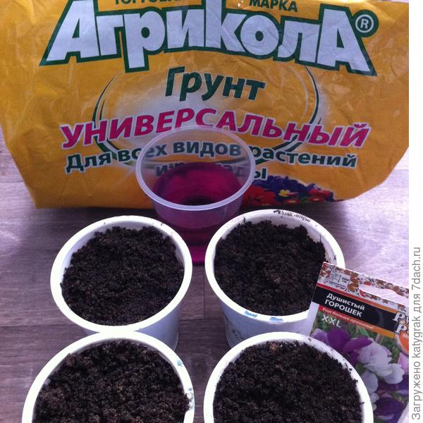 Посадка