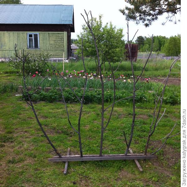 Конструкция из веток