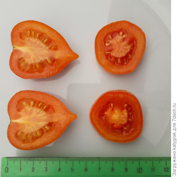 Смайлик в разрезе с размером