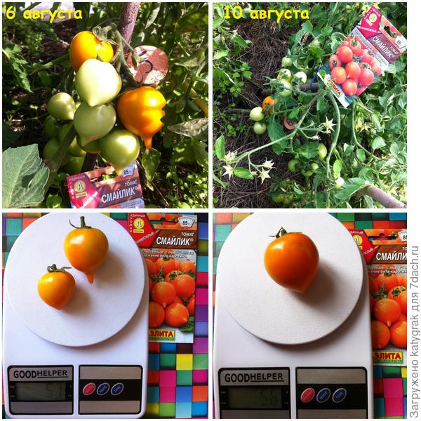 Первые смайлики