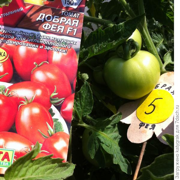 Несовпадение