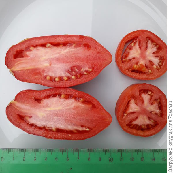 Де барао в разрезе с размером