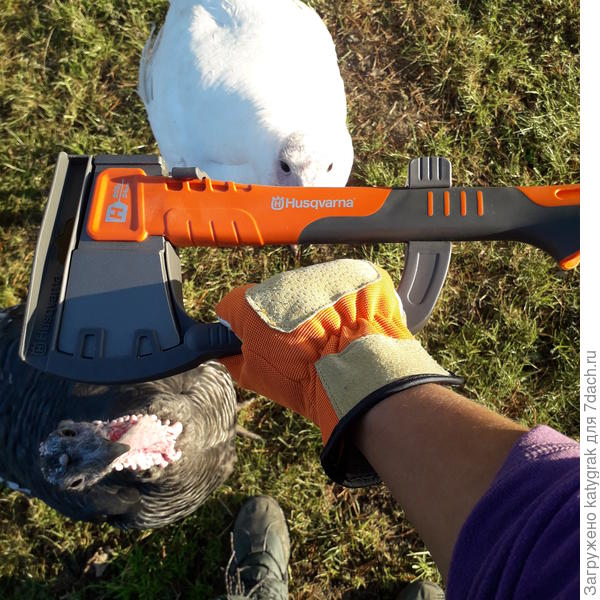 Внимательно изучаем новинку))