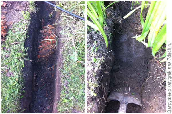 Откуда и куда шло это бревно?