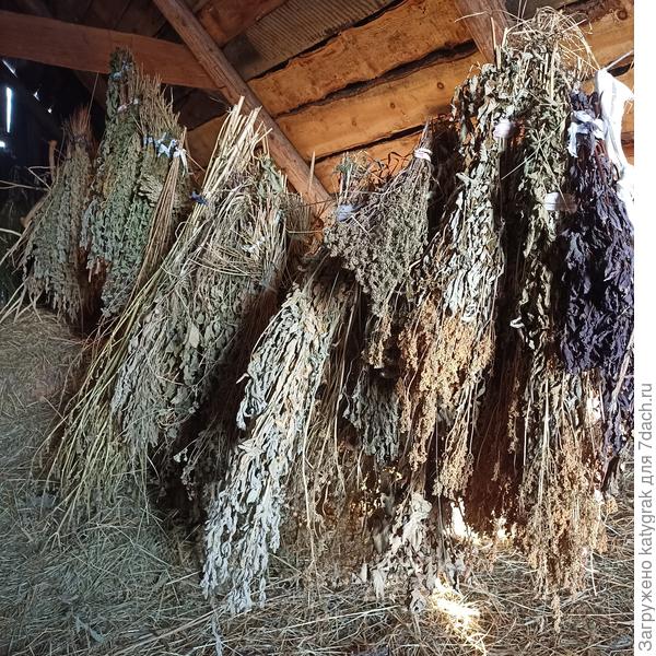 Прошлогодние веники))