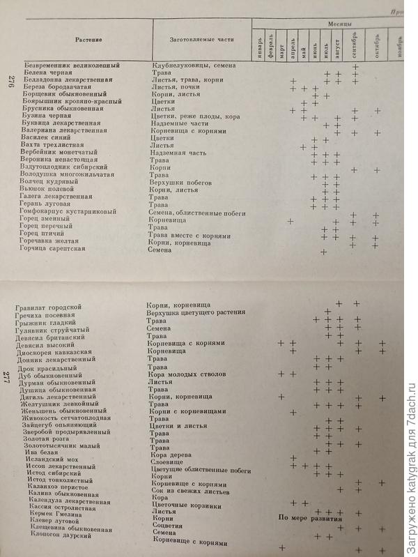 Календарь сбора лекарственных растений.
