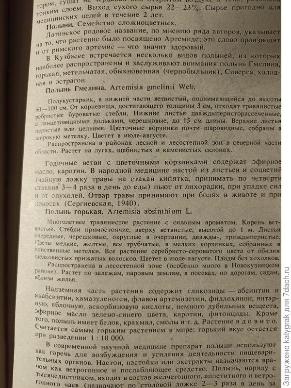 Полынь (Зелёная аптека)