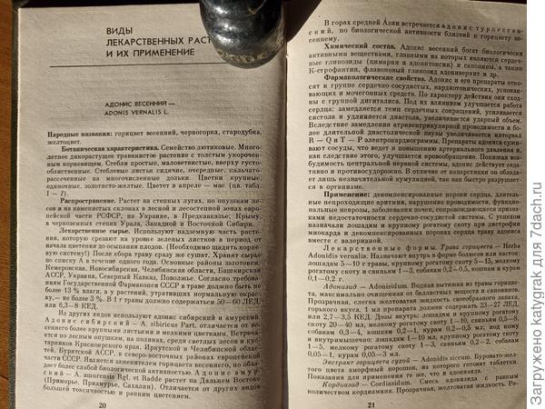 Адонис весенний (из ветеринарного справочника)