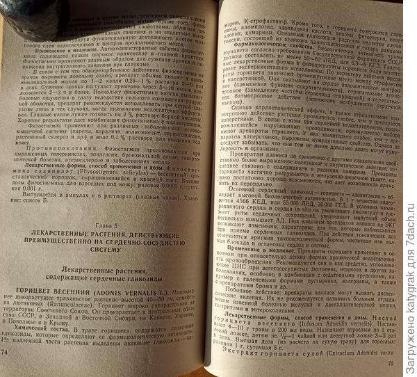 Адонис весенний (обычный справочник)