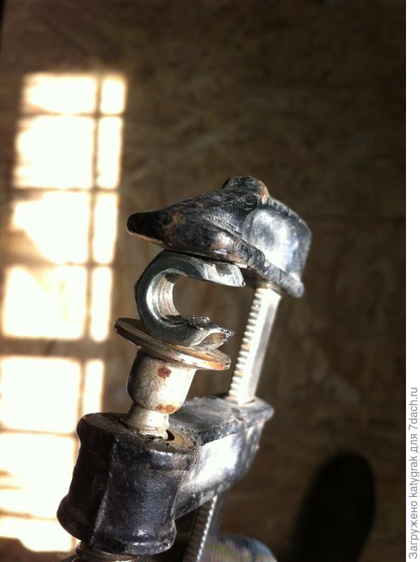 Это как же надо не любить одуванчики)))