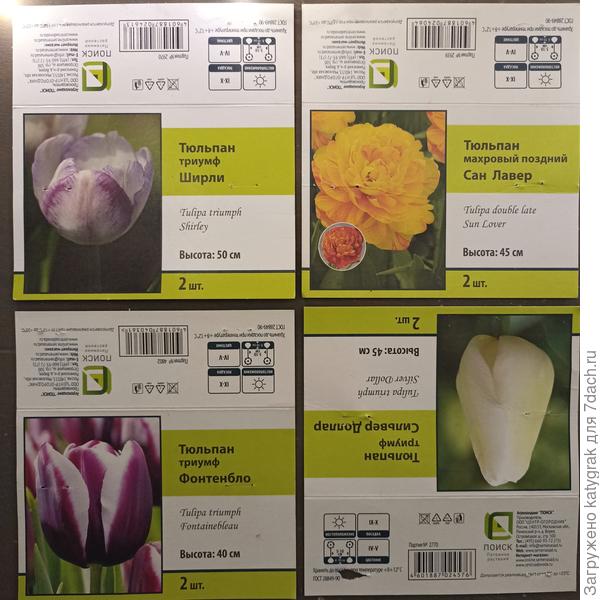 Информация с луковиц