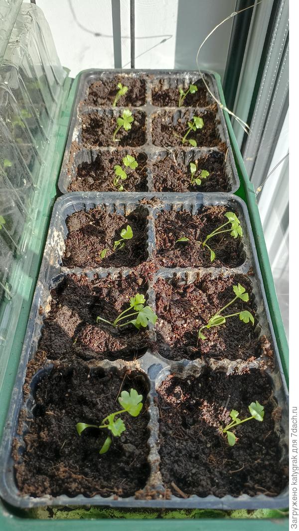 17.03.2023 Любят солнышко :)