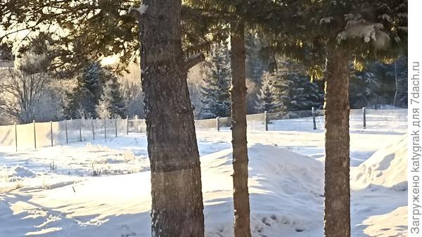 Вид из окна