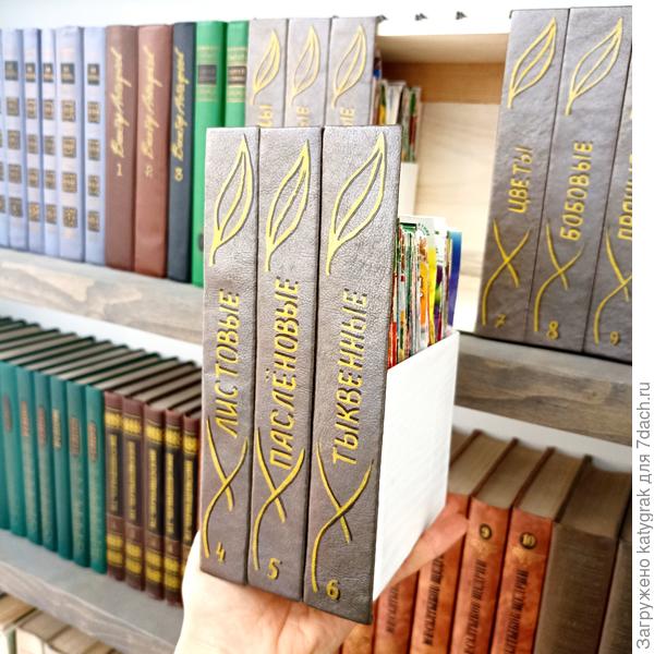 Коробочка с семенами