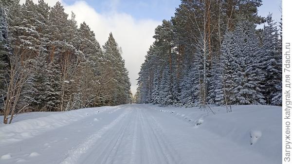 14.04.2023 Дорога домой!
